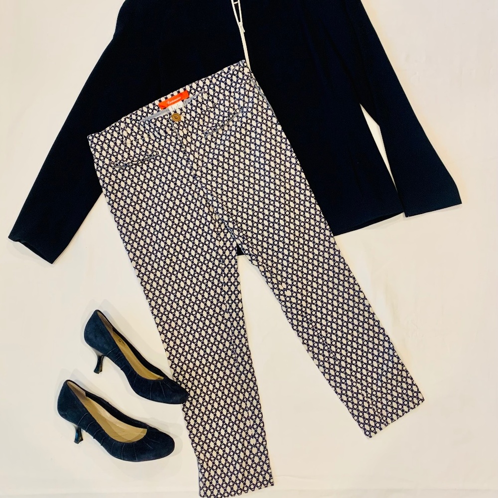 Anthropologie Navy/Cream Chinos